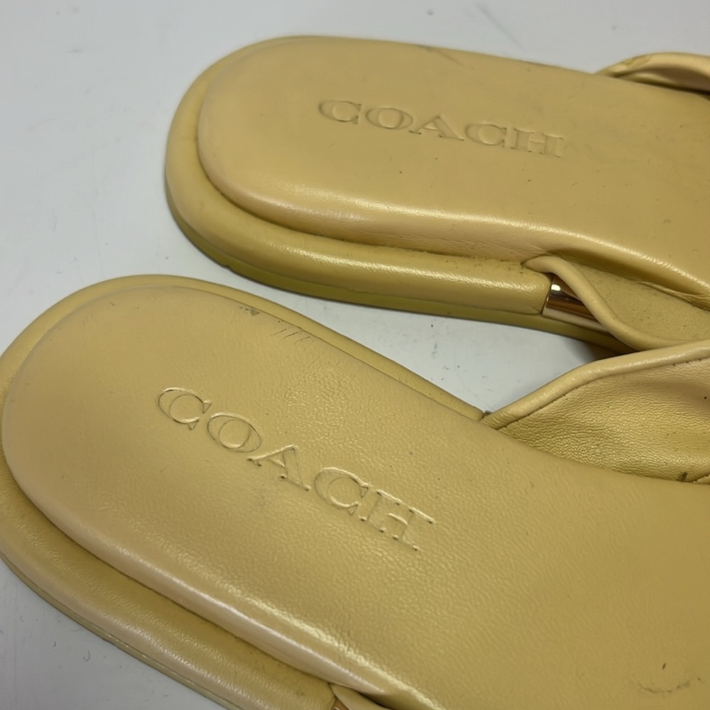 Coach Brooklyn - image 4